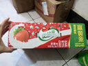 伊利优酸乳草莓味250ml*24盒 牛奶饮品 礼盒装 实拍图