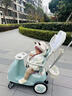bebehaha摇摇乐婴儿推车26年款遛娃神器二合一溜马儿童手推车1-5岁莫奈绿 实拍图