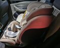 宝得适（BRITAX）宝宝儿童安全座椅0-7岁isize认证正反360°旋转成长骑士 通风款 Air原木棕teak 晒单实拍图