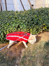 拉维佩特（LOVINGPET）狗狗衣服大型犬 保暖金毛狗衣服冬季柯基拉布拉多狗衣服中型犬 红色 3XL 建议26-32斤 实拍图