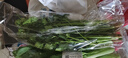 小白菜约250g 实拍图