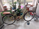 WELLCLS自行车女成人女士学生男女生女款亲子老式公主车通勤单车轻便 【旗舰款】-复古黄 26寸(适合身高：155-175cm) 实拍图