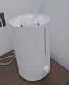 米家 小米加湿器2卧室家用办公室桌面 迷你低噪空气加湿 银离子材料 上加水 4L大容量 米家加湿器2 300mL/h 实拍图