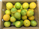 京鲜生 云南哀牢山冰糖橙/橙子 9斤装 单果130g-170g 生鲜水果年货礼盒 实拍图