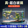 坤宁王金晶超白玻璃鱼缸桌面造景小鱼缸家用客厅裸缸一体缸20*14*16cm 实拍图
