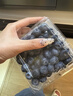 怡颗莓Driscoll's当季新鲜云南蓝莓14mm+ 4盒装 约125g/盒 京东超市水果 实拍图