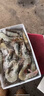 沃鲜汇 大虾海虾厄瓜多尔白虾南美对虾大青虾海鲜水产进口鲜活速冻生鲜 【推荐】40/50规格 1.65kg(净重)  水冻款(净虾重3斤) 实拍图