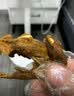 陈阿炳鸭锁骨鸭架卤味咸口零食休闲成人零食解馋下酒菜开袋即食 【椒盐原味】鸭架 250g 咸香入味 实拍图