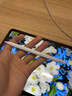 苹果Apple Pencil 一代/二代 苹果手写笔二手苹果手写笔/电容笔/触控笔二手平板电脑配件 苹果Pencil（USB-C） 单笔【99新】 实拍图