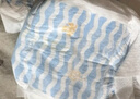 巴布豆（BOBDOG）小波浪拉拉裤XL30片(11.5-14KG)婴儿尿不湿 干爽 透气 实拍图