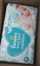 帮宝适超薄透气清新帮透氧Pro新生儿婴儿纸尿裤尿不湿尿片尿布S60 实拍图