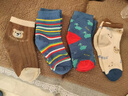 俞兆林5双儿童袜子秋冬季加绒加厚宝宝保暖袜男童毛圈袜中大童毛巾袜 实拍图