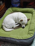 萌嘟星宠猫狗窝中大犬冬季保暖垫子加厚金毛泰迪四季通用睡垫跑道款XXL号 实拍图