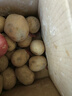 播州鲜新鲜土豆贵州特产高山马铃薯土豆黄皮黄心土豆农家自种蔬菜 黄皮土豆9斤 （带箱） 实拍图