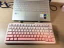 珂芝（KZZI）K75V2三模客制化机械键盘无线蓝牙电竞游戏家用办公82键RGB背光PBT键帽Gasket雾桃渐变环诺樱诺轴 实拍图