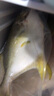 1号会员店（One's Member）甄选海南二去金鲳鱼 700g/2条装 去鳃去内脏 生鲜 鱼类 海鲜水产  实拍图