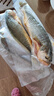 鲜京采 冷冻三去黄花鱼(宁德大黄鱼)1700g (5条装)  礼盒 生鲜海鱼  实拍图