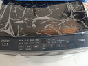 海尔（Haier）全自动波轮洗衣机8KG小型 家用宿舍出租房 家电国家补贴以旧换新京东自营XQB80-Z10D0 实拍图