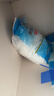 中盐软水盐(小蓝袋）10kg*2 实拍图