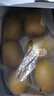 佳沛（zespri）新西兰 阳光金奇异果12粒礼盒特大果单果约122-146g 猕猴桃 水果 实拍图