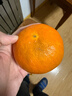 京鲜生 四川爱媛38号果冻橙 5斤 单果180g起 生鲜水果柑橘桔子年货礼盒 实拍图