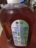 滴露（Dettol）消毒液洗衣衣物消毒水750mL除螨 家居地板杀菌 灭杀甲流感 非84 实拍图