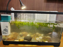 阔庭（KUOTING）鱼缸懒人鱼缸家用客厅办公室水培吊篮金鱼缸过滤鱼缸黑色款 实拍图