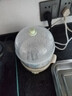 小熊（Bear）煮蛋器蒸蛋器单双层家用高温断电迷你早餐鸡蛋羹蒸鸡蛋器蒸蛋机炖蛋器便携式电蒸锅煮鸡蛋神器 双层 ZDQ-B14Q1【无蒸碗】 实拍图