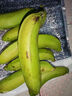 甜糯香蕉新鲜水果6号色食用最佳 青香蕉发货放软可吃放苹果催熟 专项带箱2斤净重1.5-1.6斤 香甜软糯 实拍图
