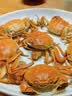 【活蟹】漁家师傅优选大闸蟹六月黄2.3-2.6两8只去绳足重鲜活螃蟹现货生鲜礼盒源头直发 实拍图