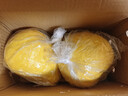 趣觅鲜正宗容县沙田柚产地直发广西特产纯甜无酸老树白肉柚子新鲜水果 2个大果4-4.5斤普通装 实拍图