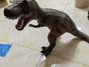 爸爸妈妈儿童恐龙玩具搪胶大恐龙软胶恐龙模型侏罗纪霸王龙宝宝动物大号 实拍图