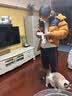 黑冰户外鹅绒700蓬防风防水厚款活帽拼色男女款羽绒服FAF8536 男款-黑棕 XL 实拍图