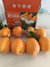 逮果重庆奉节脐橙纽荷尔春橙福本特级大果礼盒装时令新鲜孕妇水果橙子 精选5斤大果【JD/顺丰】 实拍图