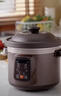 九阳（Joyoung）快炖电炖锅电炖盅电砂锅炖紫砂锅燕窝炖盅煮粥锅直炖5L大容量多功能锅 可预约保温GD506 实拍图
