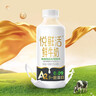 悦鲜活鲜牛奶 A2β-酪蛋白 260ml*5瓶/组 巴氏杀菌乳 低温鲜奶 实拍图