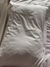 8H乳胶枕  进口天然乳胶颗粒枕头 可调节高度乳胶枕 白色 实拍图