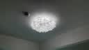 鹿家良品（LUUGAA）羽叶卧室吸顶灯客厅灯奶油风羽毛灯主卧卧室灯全光谱护眼中山灯具 护眼62cm三色光72W吸顶 实拍图