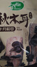 十月稻田东北秋木耳 150g 黑木耳 小碗耳 干木耳 肉厚无根 火锅煲汤食材 实拍图