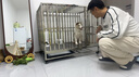 金百特 【不锈钢狗笼子】 金毛狗笼子中大型犬狗笼子宠物狗狗笼子狗屋高档狗别墅 【折叠款】110*72*92-激光满焊 实拍图