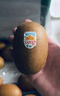 佳沛（zespri）新西兰 阳光金奇异果12粒礼盒特大果单果约122-146g 猕猴桃 实拍图
