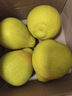 柚满园【纯甜不酸】梅州沙田柚子南福金柚正宗甜碌柚新鲜水果广东梅县 大果2个带箱4.5-5斤 实拍图