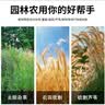 京锴锰钢割草镰刀 加厚免磨钢柄苗刀农用园林除草刀割麦割玉米收割刀 实拍图