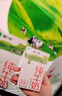 蒙牛全脂纯牛奶250ml*16盒 牛奶年货礼盒 电商定制 部分地区6月 实拍图