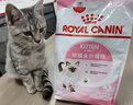 皇家幼猫奶糕 幼猫猫粮 BK34 通用粮 1-4月 2KG 实拍图