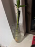 吕姆克玻璃花瓶插花瓶干花仿真花客厅桌面书房富贵竹花瓶大号高30CM5050 实拍图