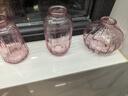 京东鲜花 迷你花瓶3件套玻璃透明复古桌面摆件插花瓶ins水培养假花装饰瓶 实拍图