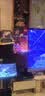 JBL【全频低音大功率】KEM3100LE家庭ktv音响套装家用点歌机K歌专业音箱卡拉ok全套设备 实拍图