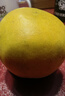 京地达柚子福建黄金葡萄柚西柚甜柚水果送礼净重4.5斤单果250g+源头直发 实拍图