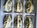 悦味纪 柳叶海菜包360g*2包 12只 裙带菜肉馅 手工薄皮肉包子早餐半成品 实拍图